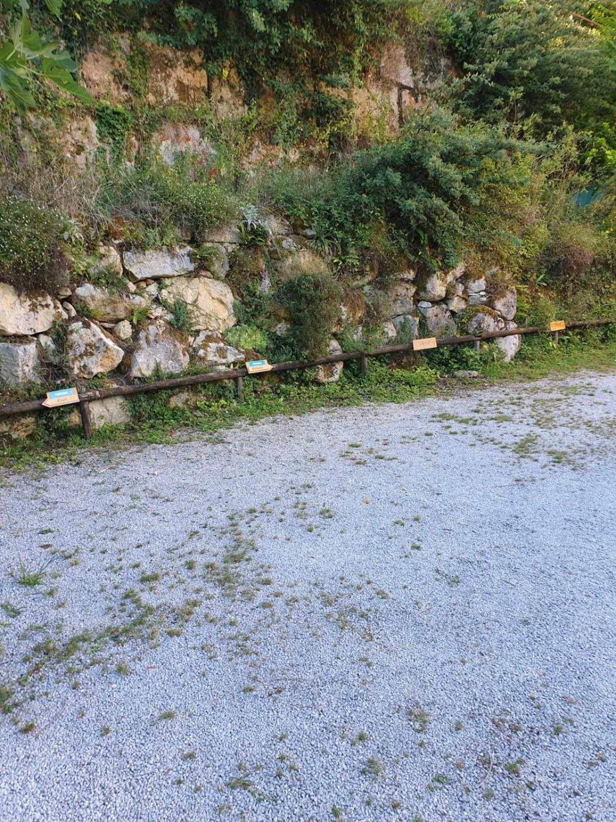 Residence Les Trois Jardins Avec Wifi Et Parking Gratuit Sarlat-la-Canéda Dış mekan fotoğraf
