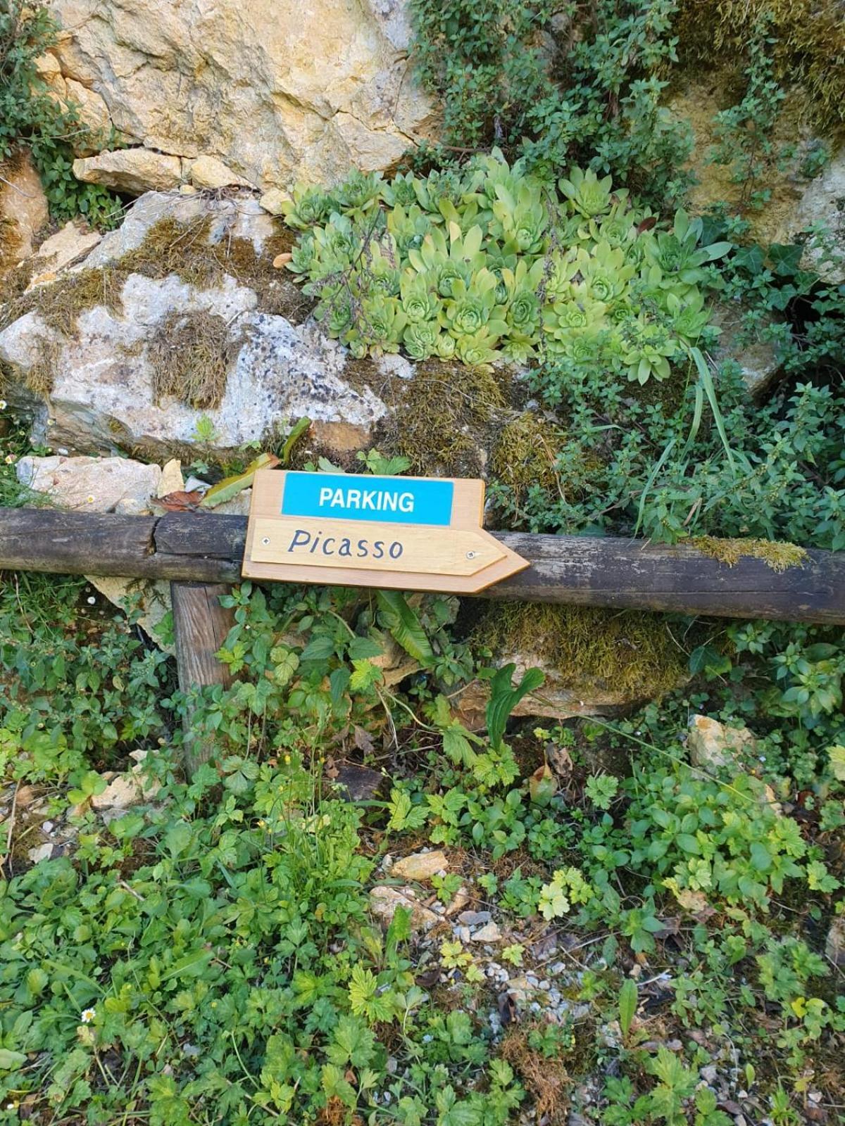 Residence Les Trois Jardins Avec Wifi Et Parking Gratuit Sarlat-la-Canéda Dış mekan fotoğraf